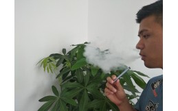 Alibaba and JD suspend sales of vape in the U.S.