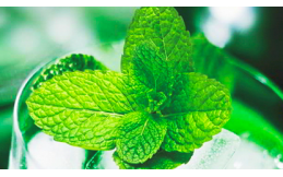 Did you miss the hot one-time smoke market in 2020?