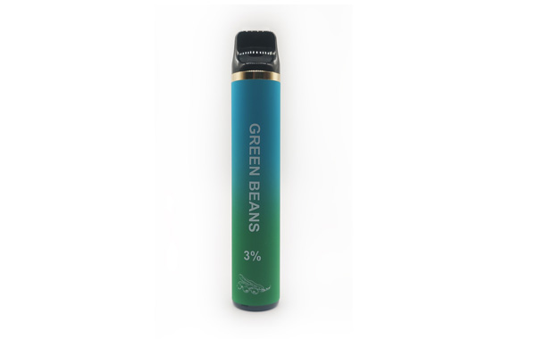 1500 puffs disposable vape pen