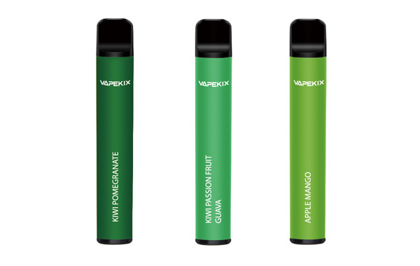 Hangboo 600 puffs disposable vape