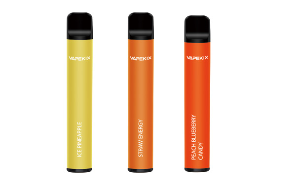 Hangboo 600 puffs disposable vape